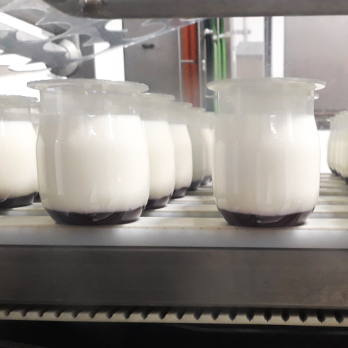 Curd & Yogurt Filling